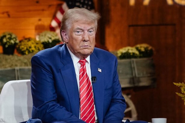 Trump Supporters Conflicted After 'Mercurial' Tariff Pause: ‘All Part of The Plan’, ‘This Is All So Stupid’