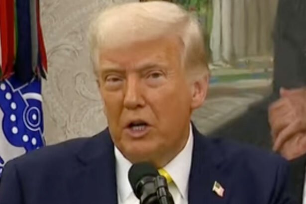 ‘We’ll Take a Pass’: Trump Threatens to Abandon Ukraine Peace Negotiation if ‘Fools, Horrible People’ Make it Difficult