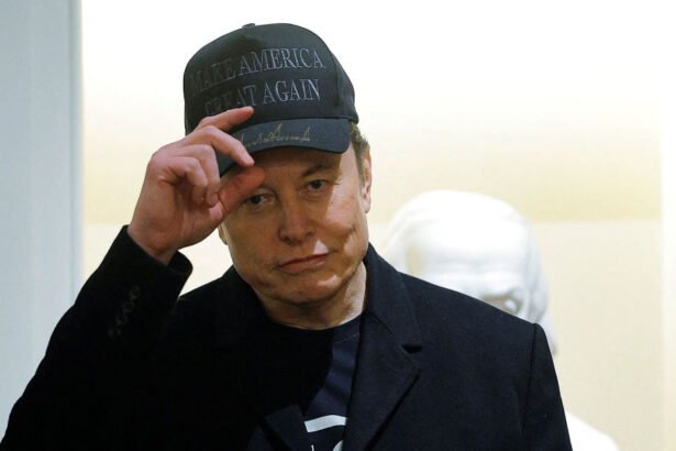 Elon Musk's DOGE Gains Access to Sensitive Justice Department Immigration Data