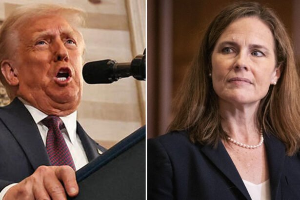 'We Cannot Give Everyone a Trial': Trump Rips Supreme Court Over Latest Ruling on Deportations