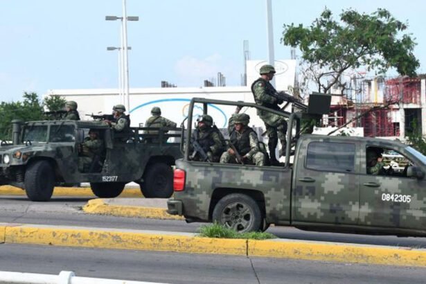 More Than a Dozen Sinaloa Cartel Family Members Cross Into US Under Trump Admin Deal: Report