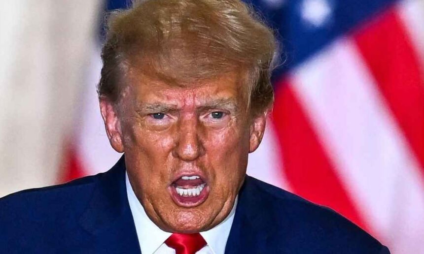 Trump Rips the US as a 'Stupid Country', Rages About 'Civil War' And 'Babies of Slaves' In Wild Rant