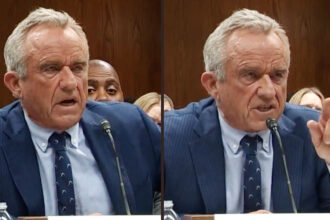 RFK Jr. Melts Down in Senate Hearing—GOP Senator Forced to Step In: ‘Mr. Secretary, Hold Back!’