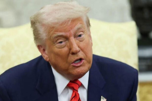 Trump to Americans: Buy Less, Pay More and Endure the Pain of His Tariffs Policy