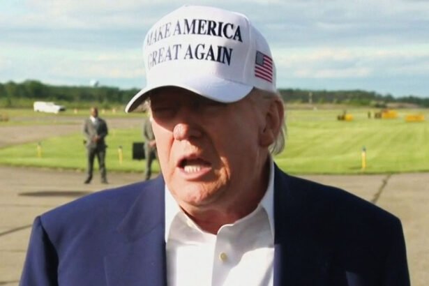 ‘What a Clown’: Trump Gets Dragged Online After Backing Down on EU Tariff Threat