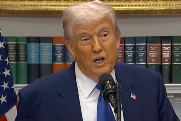 'They're Being Killed': Trump Claims White South Africans Are Victims of ‘Genocide’