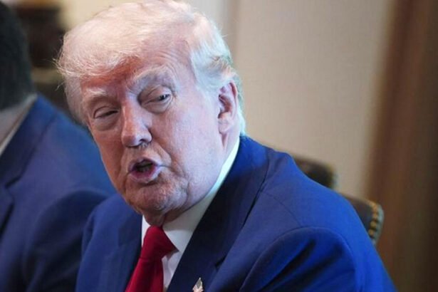 Ex-Trump Aide Shocked at President's New Remark on Tariffs: 'That's Not a Winning Message'