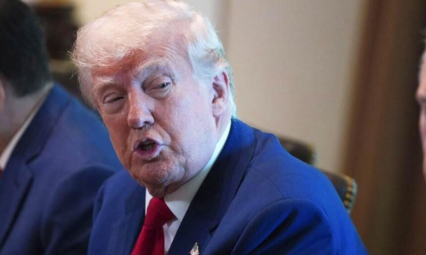 Ex-Trump Aide Shocked at President's New Remark on Tariffs: 'That's Not a Winning Message'