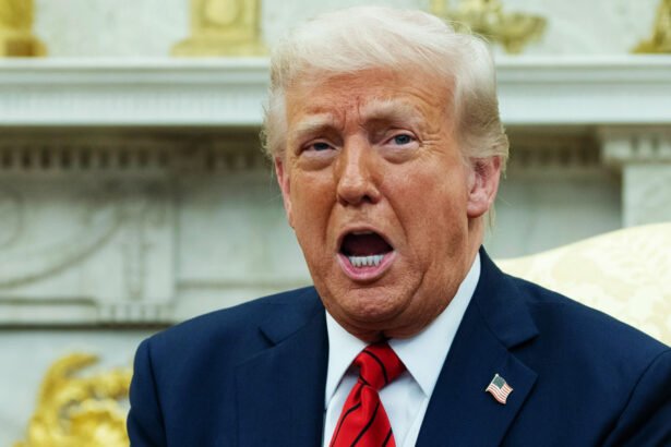 Trump Had to be 'Calmed Down’ After Trainwreck Oval Office Meltdown When Called Out on Genocide Lies: NYT White House Reporter