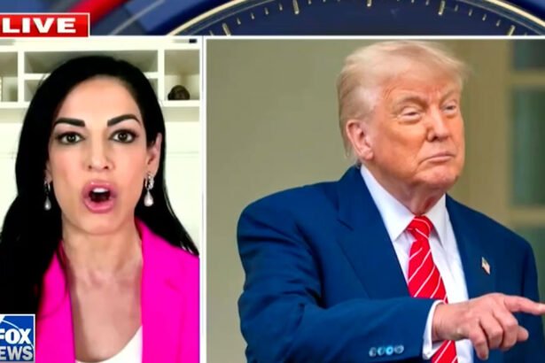 Fox Commentator: Supreme Court Doesn’t ‘Understand’ Law, Trump Should Suspend Legal Rights