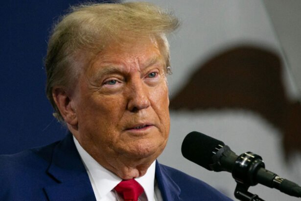Trump Claims Canada Is ‘Considering’ U.S. Statehood in Exchange for Missile Protection