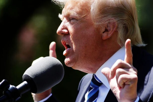 Trump Melts Down After Tariff Defeat, Rips Leonard Leo as ‘Sleazebag’ and ‘Hustler’ Who ‘Hates America’