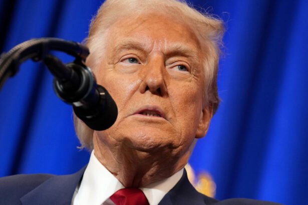 ‘We’d Be Screaming if This Were Hunter’: Top Conservative Unloads on Trump Over Foreign Money Grab and Crypto Scheme