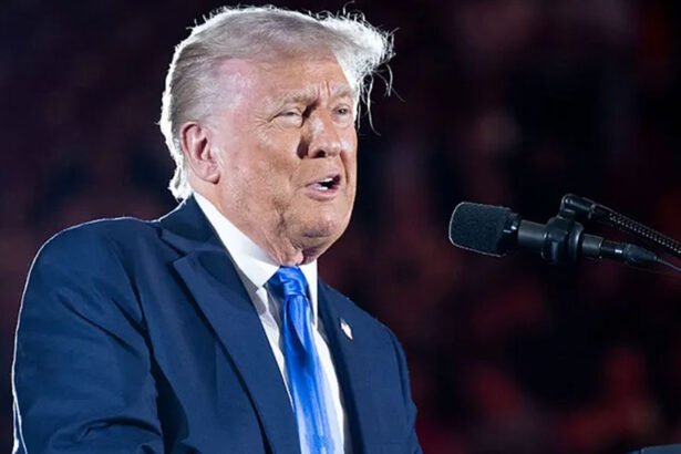 Trump Slammed as a ‘Complete Moron’ After Announcing WWII Victory Day on Wrong Date