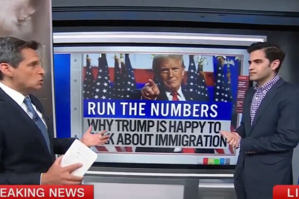 'He's Begging for a Fight': CNN Reveals Why Trump Loves the Immigration Chaos