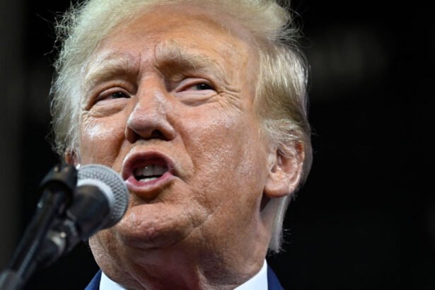 Trump Claims U.S. Will Collapse If The Courts Don’t Side With Him, Blasts Federalist Society over Legal Loses