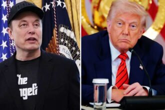 ‘He Lost It’: Trump Says No More Talks with Musk, Plans to Dump Tesla He Bought at White House Event