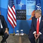 ‘New Level of Cringe’: Internet Roasts NATO Boss for Calling Trump ‘Daddy’ on Live TV
