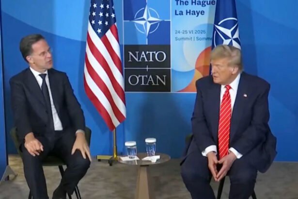 ‘New Level of Cringe’: Internet Roasts NATO Boss for Calling Trump ‘Daddy’ on Live TV