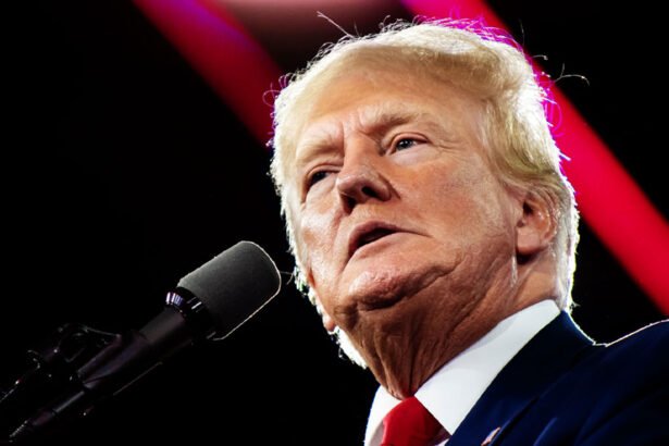 ‘Unfit to Serve’: Trump Slammed for Reposting Outlandish Conspiracy About Biden