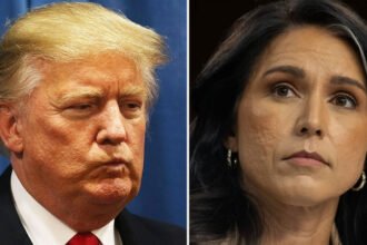 Enraged Trump Blows Up at Tulsi Gabbard After She Posts 'Cryptic’ Warning in Rogue Video