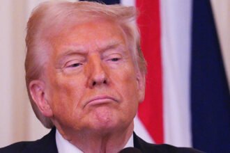 ‘Just Bad Stuff All Around’: Trump’s Poll Numbers Collapse ‘Across the Board’