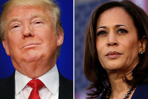 Report: Voting Machines Were Altered Before the 2024 Election. Did Kamala Harris Actually Win?
