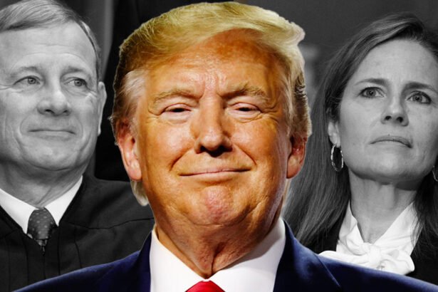 Roberts and Barrett Just Handed Trump Unchecked Power, Opening Path to Authoritarian Rule