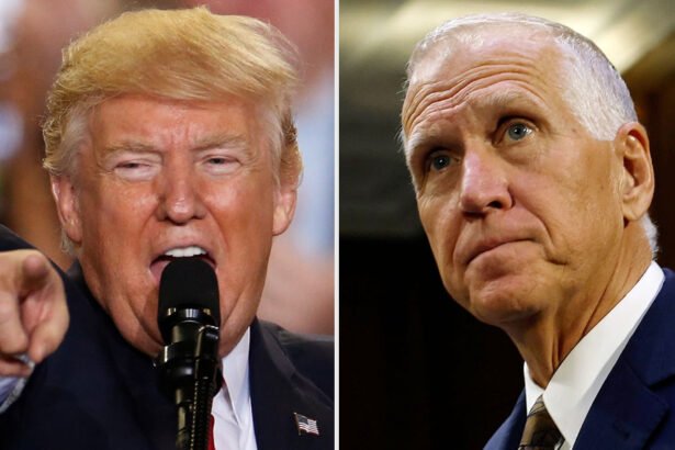Trump Tried to Take Credit for Forcing Tillis Out — Then Tillis Released the Texts