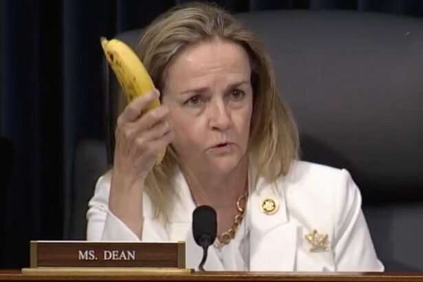 Lawmaker’s Banana Takedown of Trump Trade Logic Goes Viral