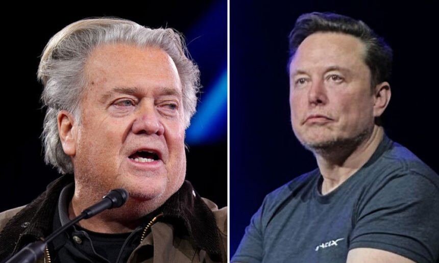 Bannon Demands Trump Deport ‘Parasitic Illegal Immigrant’ Elon Musk As MAGA World Erupts