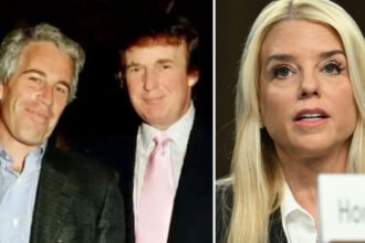 Democrats Launch Investigation After Musk Claims Trump Is in Epstein Files, Demand DOJ Action