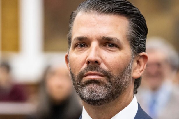 Korean Americans Slam Donald Trump Jr for ‘Reckless’ Social Media Post