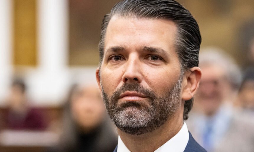 Korean Americans Slam Donald Trump Jr for ‘Reckless’ Social Media Post
