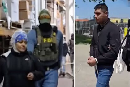 Masked ICE Agents Storms Omaha Meat Packaging Facility as Trump Continues to Target Migrant Workers: Video