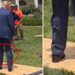 Trump Spotted Wearing 'Hidden Leg Brace' After Air Force One Stumble — Internet Buzzes With Questions