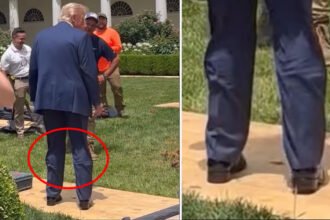 Trump Spotted Wearing 'Hidden Leg Brace' After Air Force One Stumble — Internet Buzzes With Questions