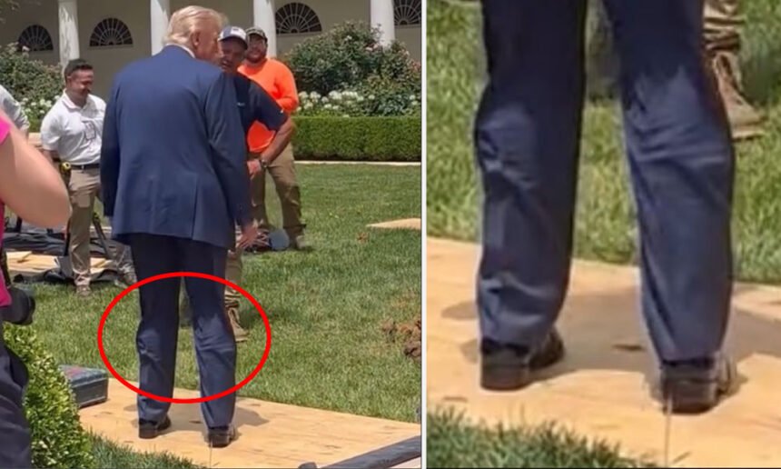 Trump Spotted Wearing 'Hidden Leg Brace' After Air Force One Stumble — Internet Buzzes With Questions
