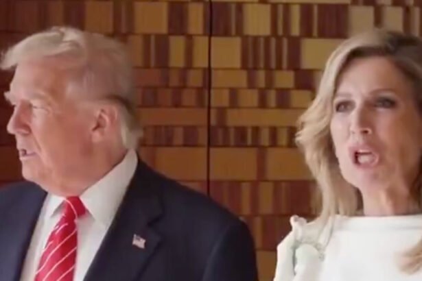 WATCH: Viral Video Shows Dutch Queen Seemingly Mocking Trump’s Mouth Movements