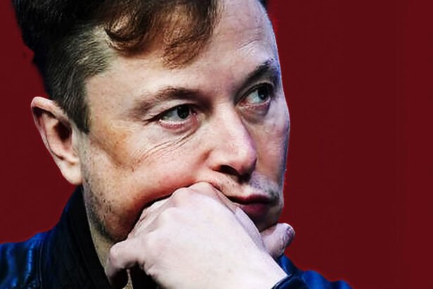 ‘Hang Their Heads in Shame’: Musk Vows to Destroy Republicans Backing Trump’s Megabill