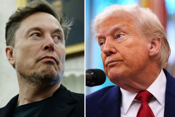 ‘He Was Butthurt’: Musk’s Rage at Trump Bill Fueled by Personal Grudges, Sources Claim