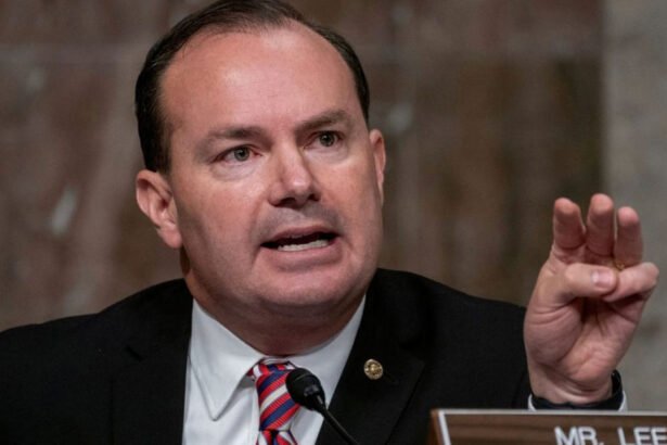 People 'Disgusted', Demand GOP Sen Resign Over ‘Sick and Depraved' Tweets After Shootings