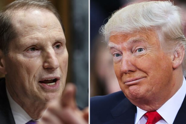 Trump’s Budget Math ‘As Fake as His Tan,’ Says Senator