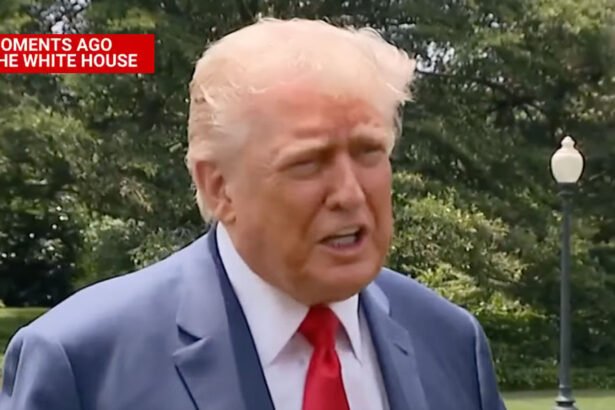 Trump Pushes Homan to Jail Gavin Newsom, Says ‘It Would Be a Great Thing’