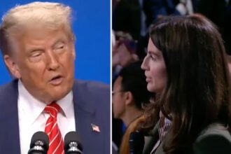 Watch Kaitlan Collins Confront Trump to His Face After He Rips CNN as 'Fake News'