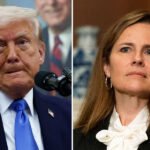 'He’s Been Pissed About Her For a While': Trump Reportedly Seething at Amy Coney Barrett for Ruling Against Him