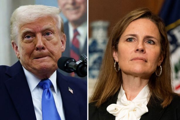 'He’s Been Pissed About Her For a While': Trump Reportedly Seething at Amy Coney Barrett for Ruling Against Him