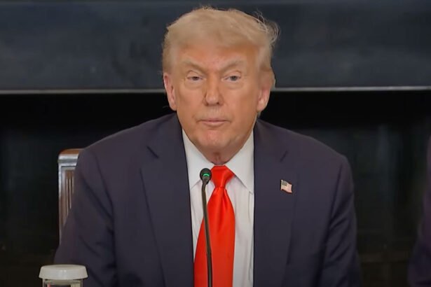 White House Cuts Mics as Trump Confronted on Musk’s Epstein Files Bombshell