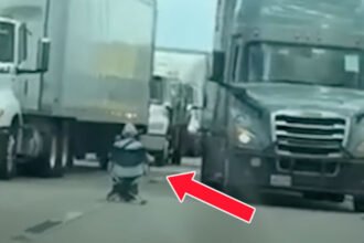 Texas Woman Sits in Middle of Highway With Gun, Blocks Traffic in Hours-Long Standoff