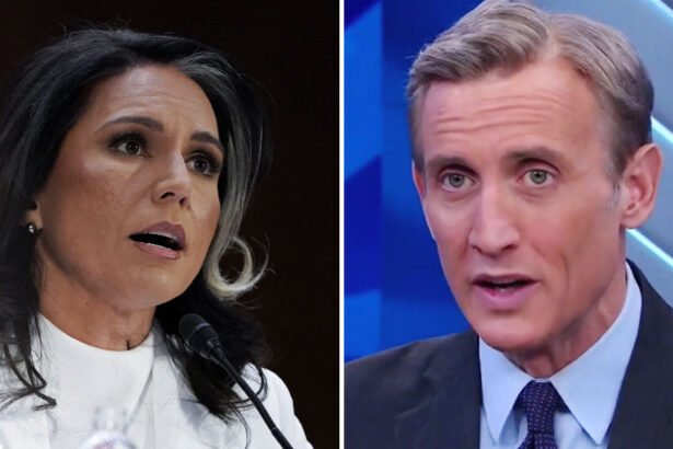 'Don’t Get Fooled!': ABC News' Chief Legal Analyst Dismantles Gabbard’s Obama Conspiracy Claims — ‘Not Even Wrongdoing’